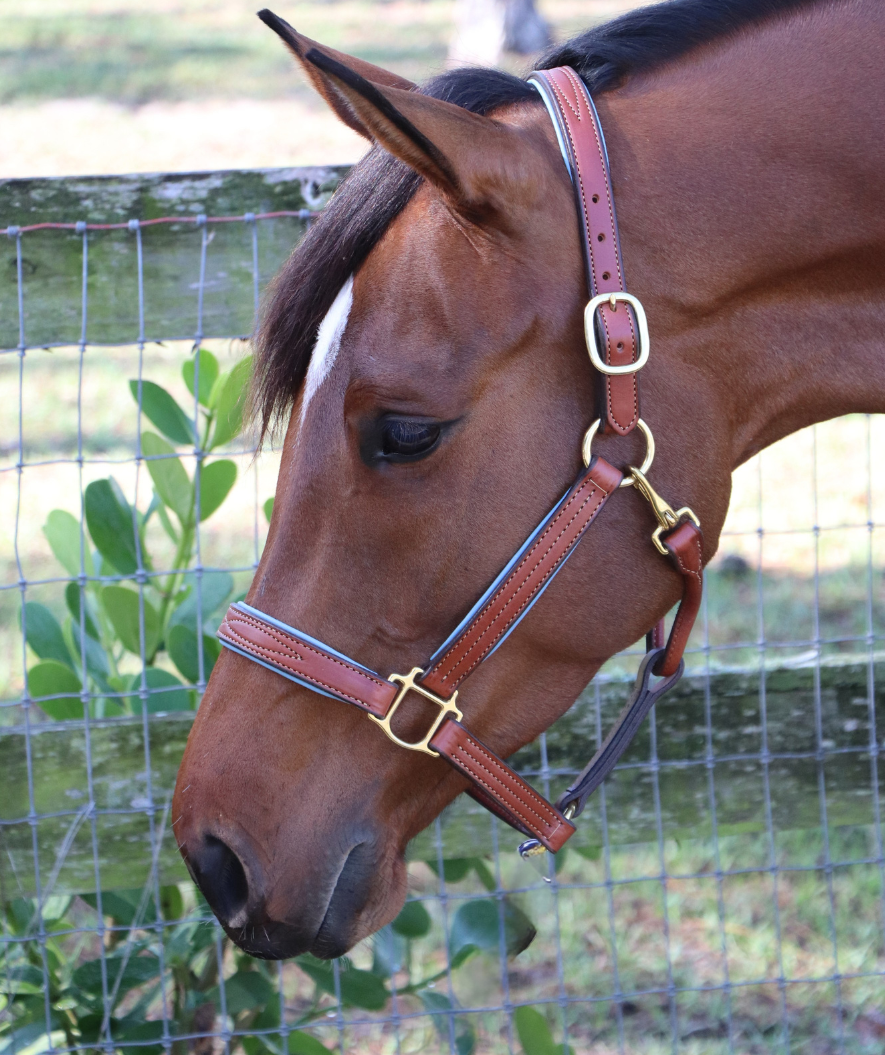 GHC Padded Halter