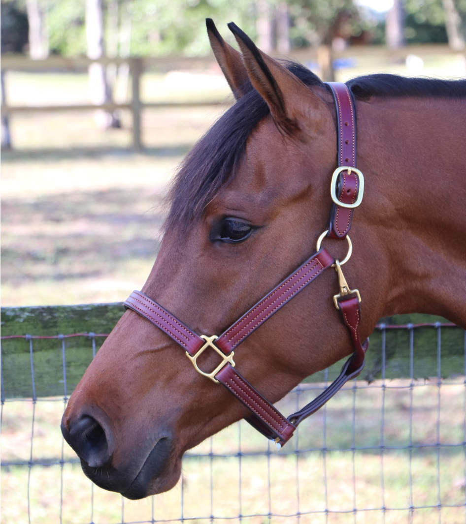 GHC Triple Stitch Halter