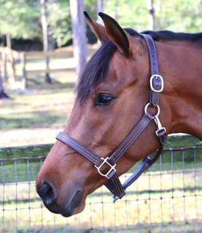 GHC Triple Stitch Halter