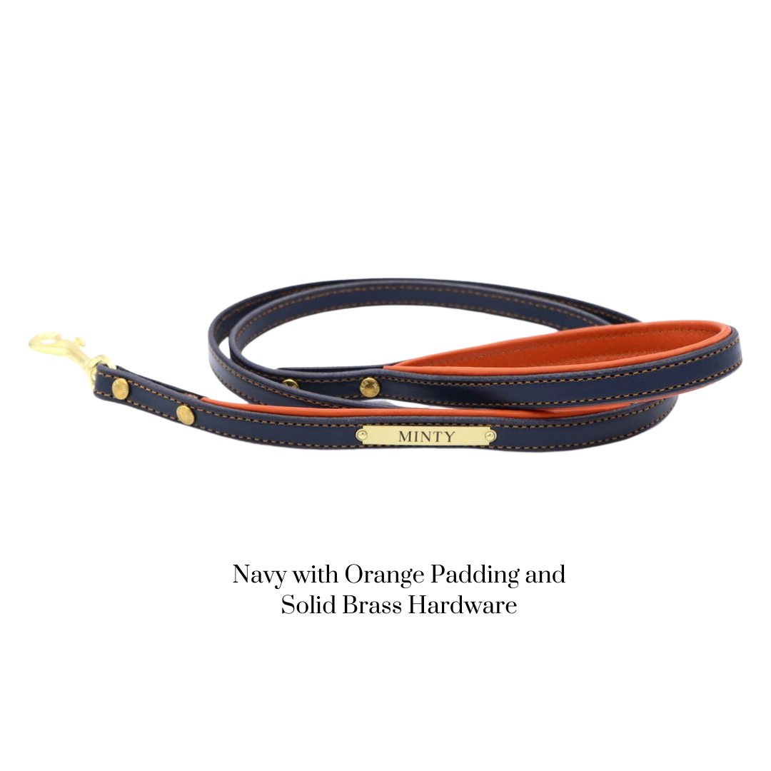 Padded Dog Leash