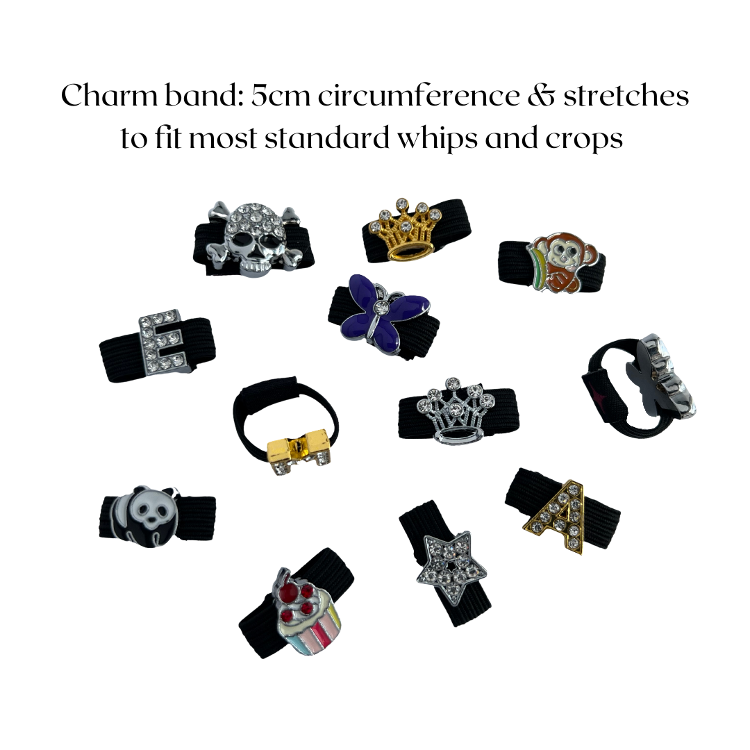 Sparkly Dollar Sign Crop Charm