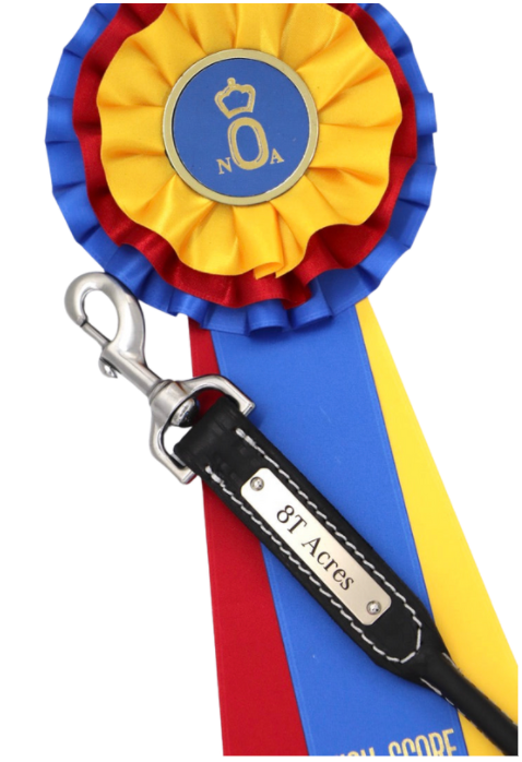 Elegant Lead Nameplate