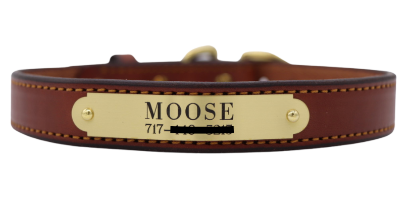 Stitched Dog Collar