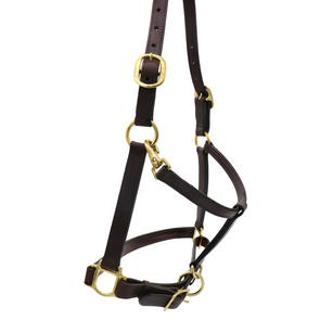 Adjustable Remarkable Lite