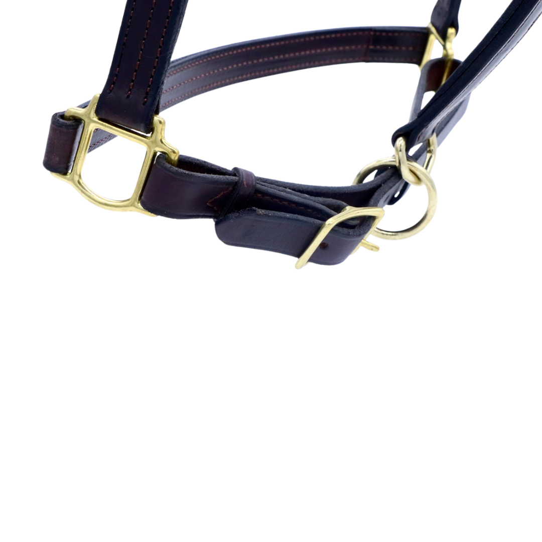 Adjustable Remarkable Lite