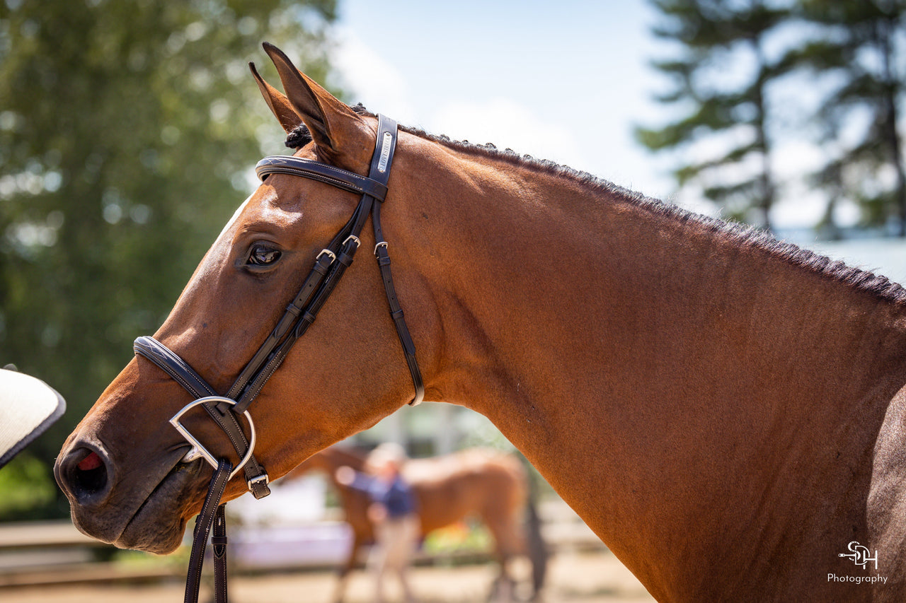 Bridle Plate