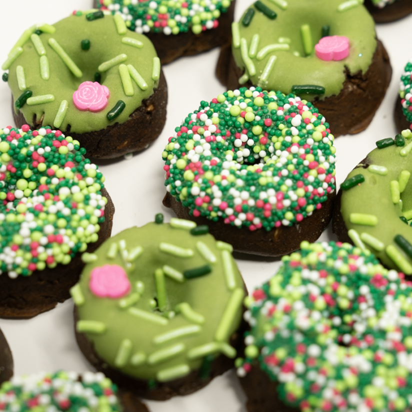 Cactus | Mini Donuts