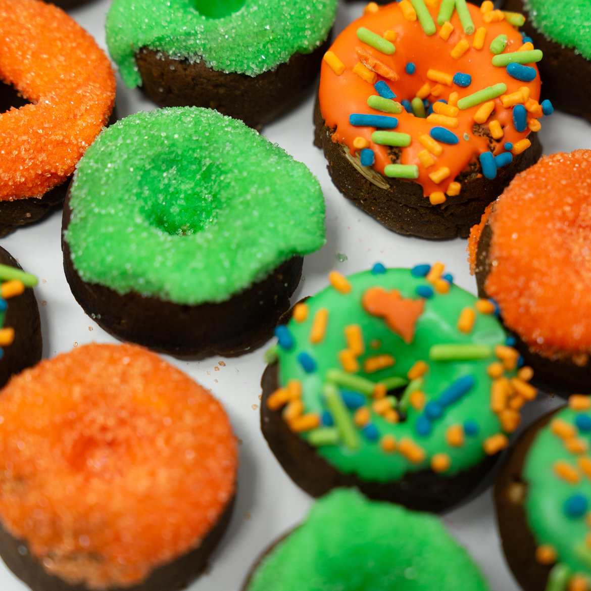 Dinomyte | Mini Donuts