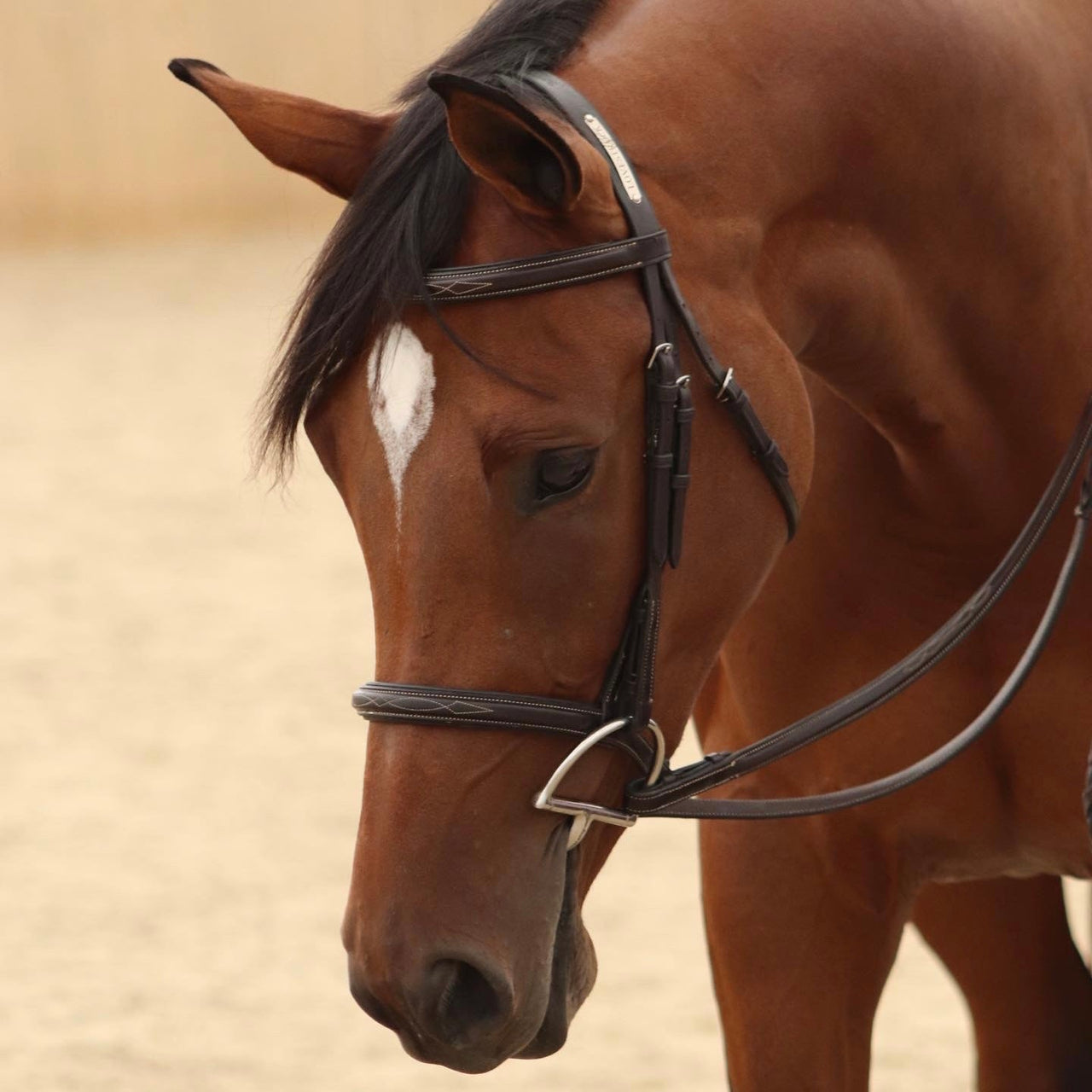 Bridle Plate