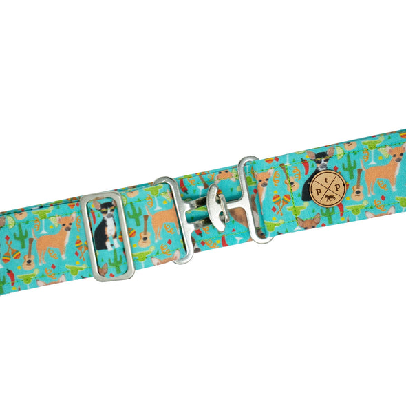 Chihuahua Belt