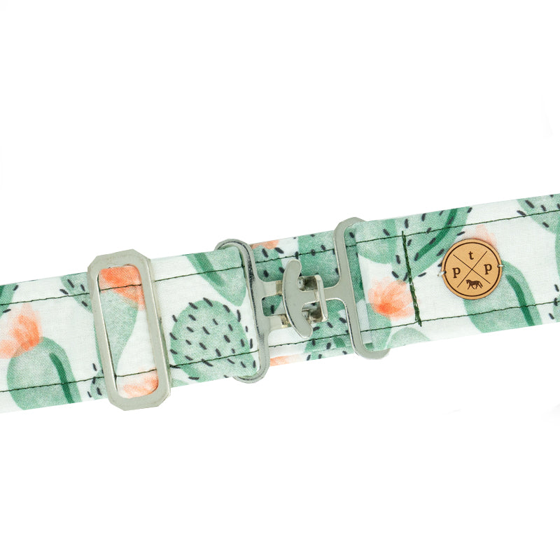 Coachella Belt