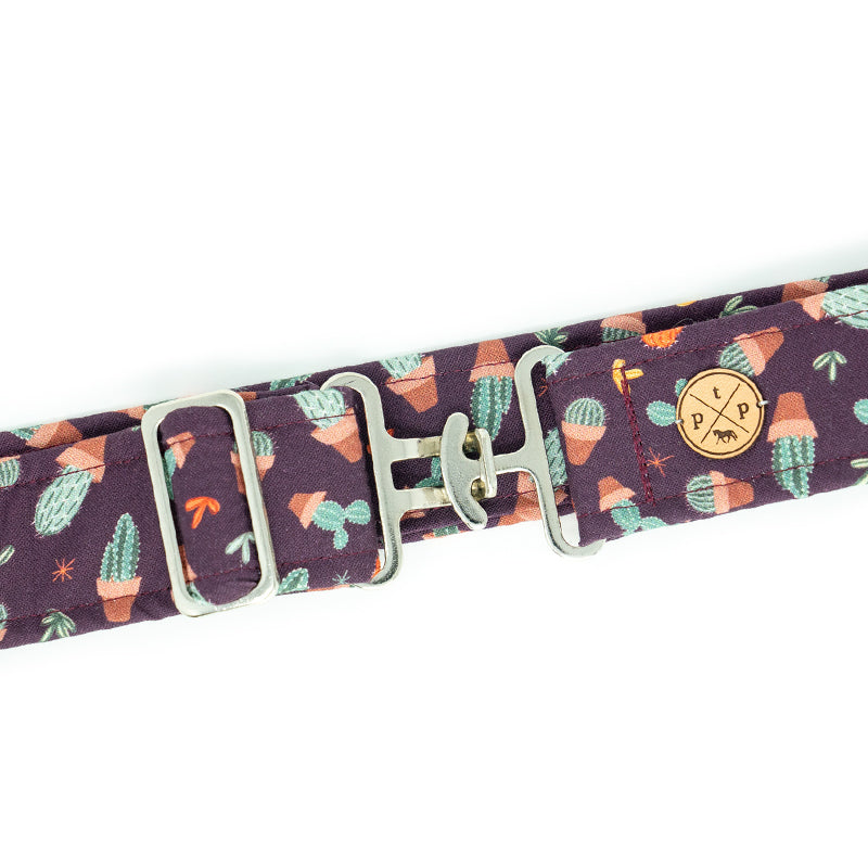 Looking Sharp Belt