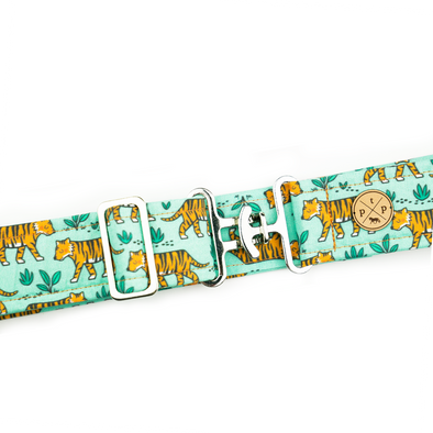 Show Your Stripes Belt